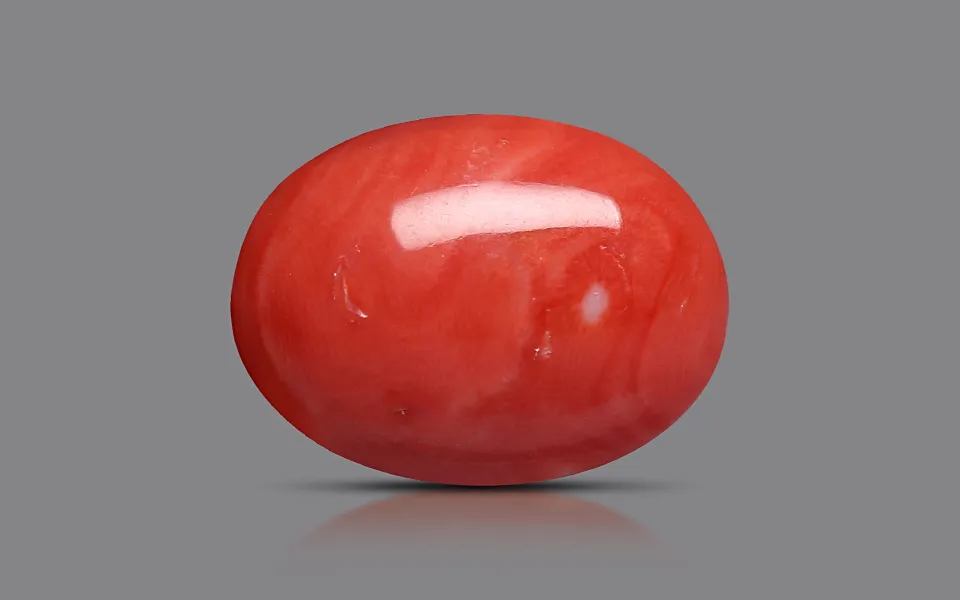 Red Coral (Moonga)